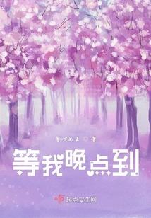 幽幽夏季