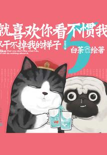 四季游