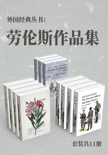 狐妖与宝藏