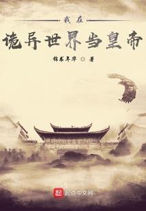 烟花绽
