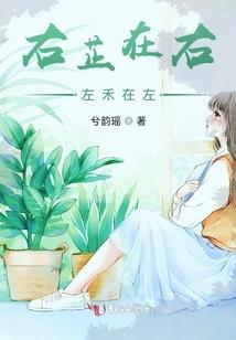 一生泪水半生缘