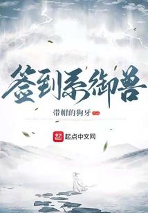 王者荣耀之王者代练