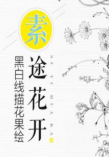 倾柠至夏