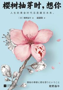 浪子的奇幻十年