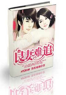 血色妖姬：邪王妖妃