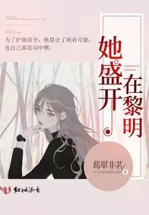 疮痍之境
