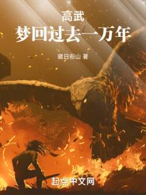 傻王爷的保镖王妃