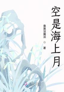 老司机的扑街日记