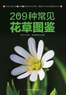 大世志