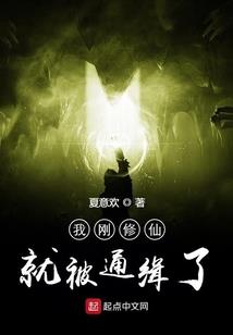 苏家二小姐