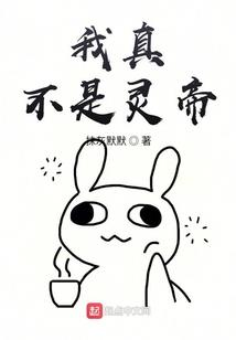 凤,蝶传奇