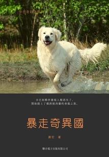 彼岸两边晴雨分