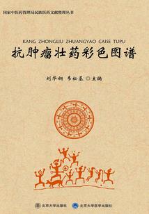 你是我的天