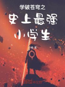 机械伴侣