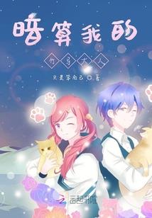 青梅追夫记