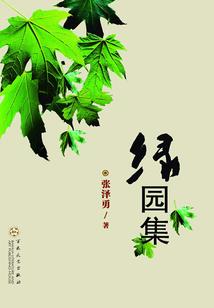 与怪异共度的时光