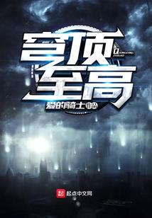 凤飞九天之天才公主