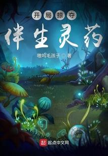 红楼之穿越