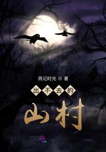 重生之神偷世子妃