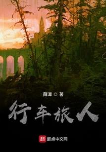 厉害了我的穿越者