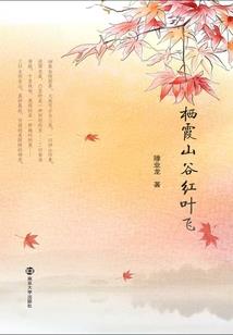 一起奋斗过的岁月