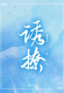 炼天纪
