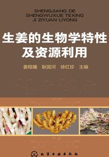 东汉云中君
