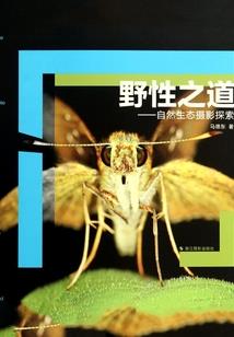 嫡女重生之魔神要带娃