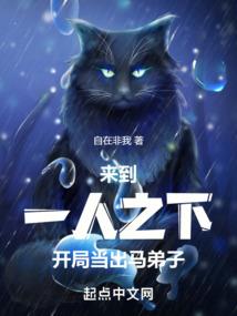 穿越之皇子别跑