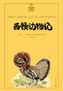 凤涅至尊