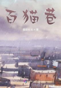 天龙星的辉煌