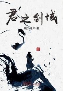 诸天节度使