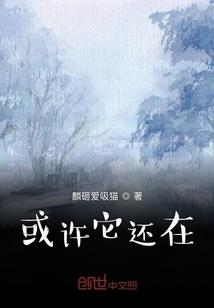 假面骑士暗日重生
