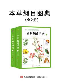 伟大的异世界救世主