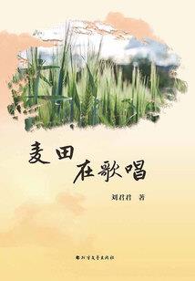 穿越宝莲灯：我不是故意的