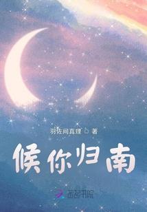 学园都市的问题儿童