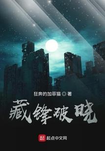 星之启示