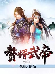 红楼之顽石补天