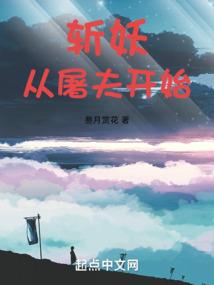 舰之主宰
