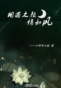 龙者人生