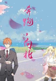异冰武法士