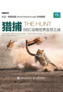 阴阳快递