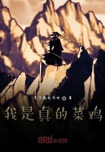 七族猫