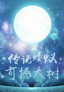 许你满天星