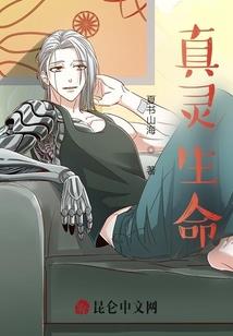 武侠世界的龙骑士
