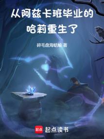 开罗系统之打工魔王