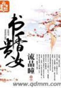 终极圣剑士