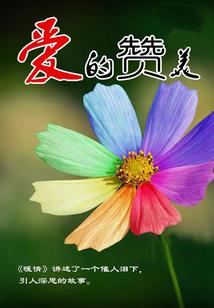 葬道天地
