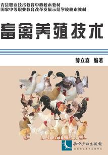 契约一只小狗狗