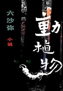 伪信